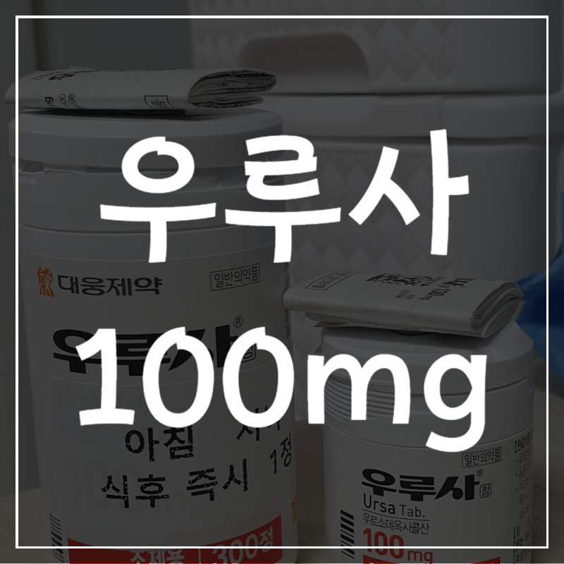 우루사 100mg 가격 복용법 300정 처방 후기