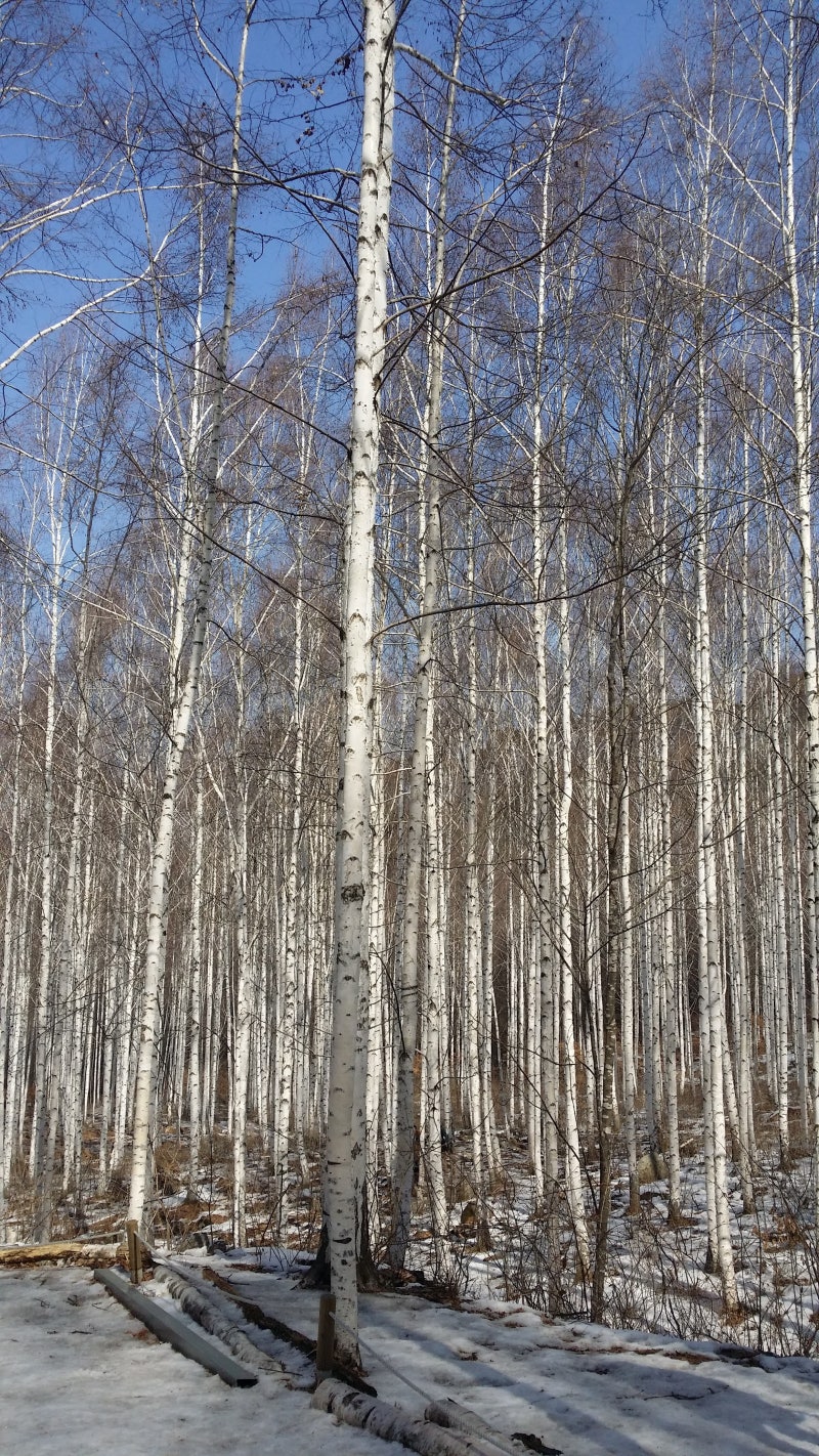 802. 부산시 대학교, 대학, 기숙사, 생활관, 수용인원, 기숙사비, 기숙사 비용, 입사경쟁률, 캠....