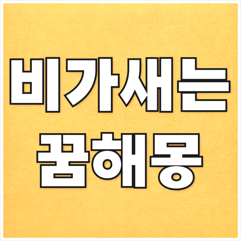 집에 비가새는꿈 무슨 의미인가