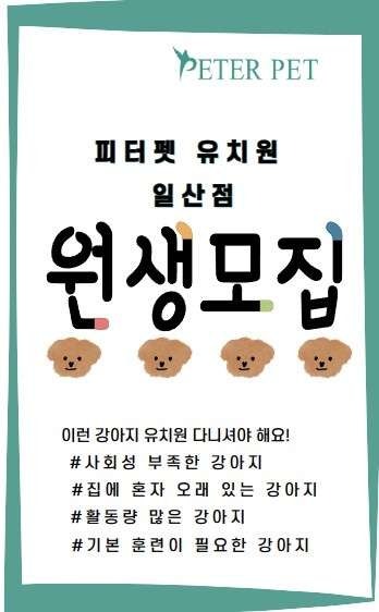 사진 5