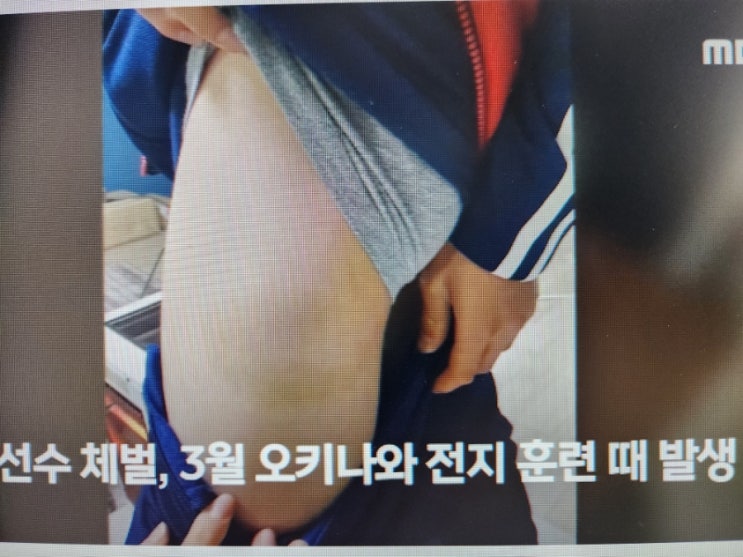손흥민 아버지 <b>손웅정 아동학대</b> 혐의 사건 정리