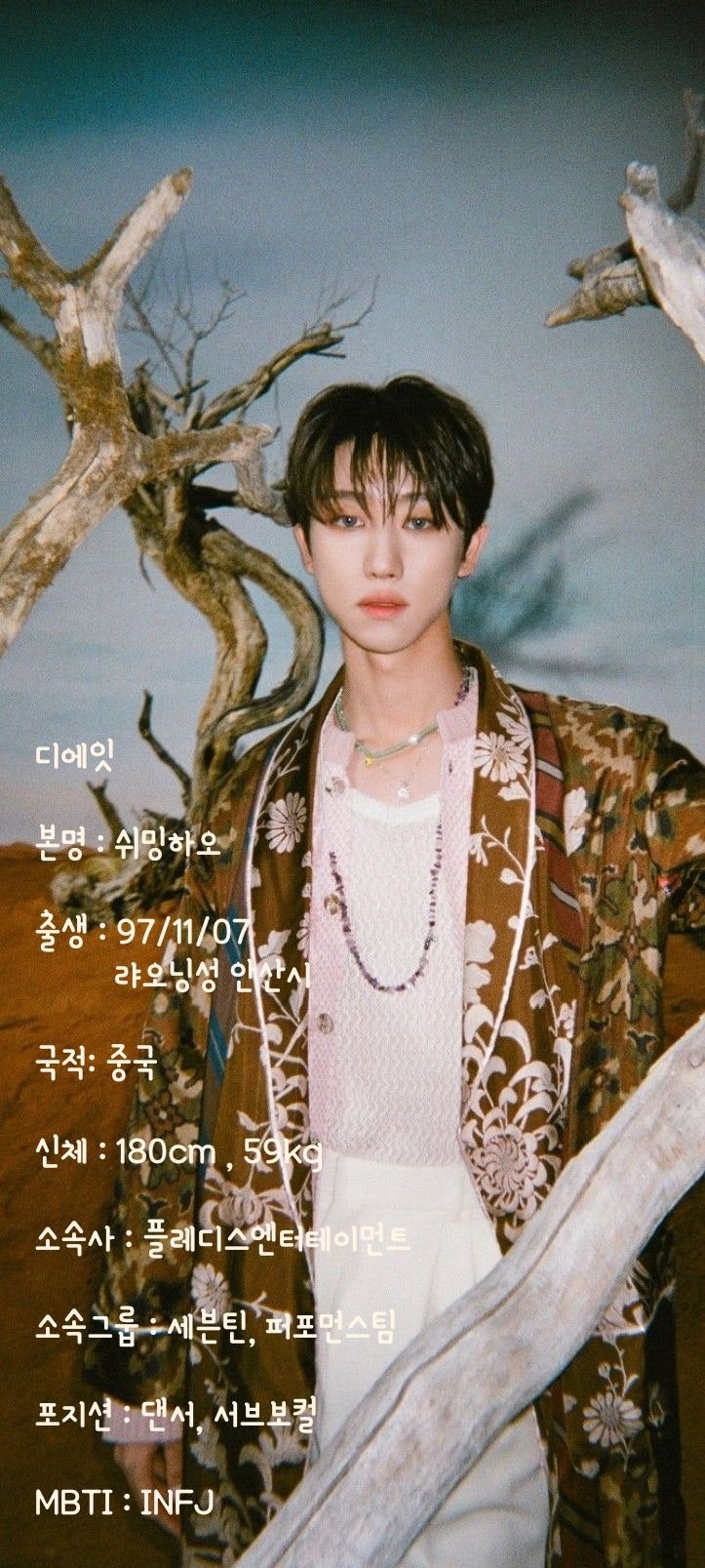 [세븐틴] 디에잇
