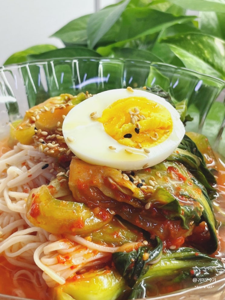 김치말이국수 레시피 냉면육수 김치말이국수 만들기 시원한 청경채김치랑 딱! 여름국수