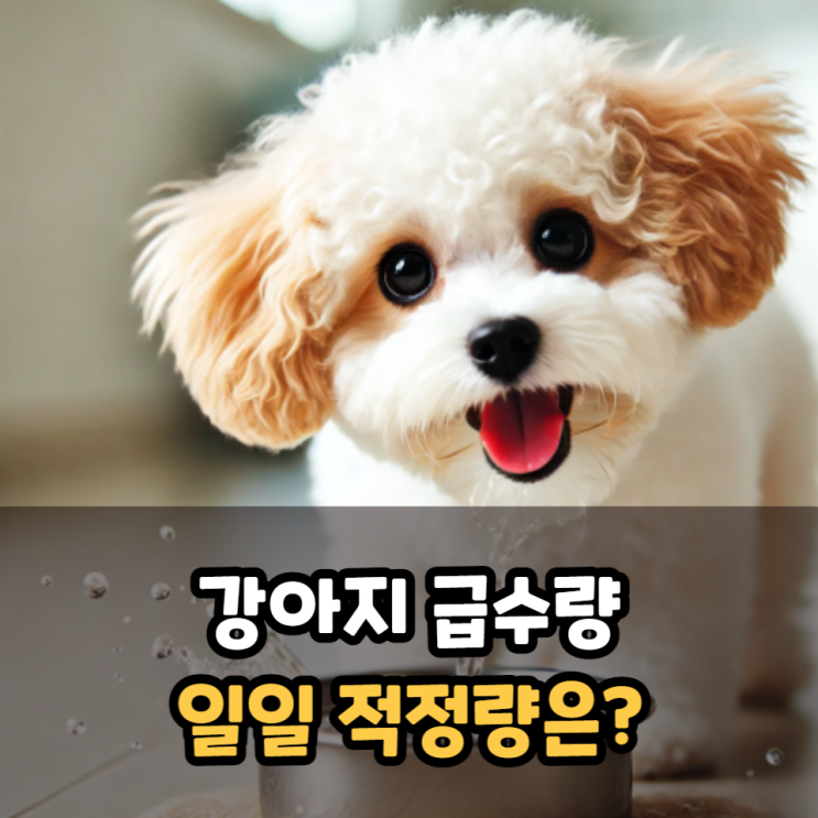  강아지 일일 적정 급수량은?