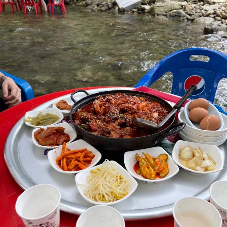  [담양 산촌] 시원한 계곡물에 발 담그고 먹는 찐한 닭볶음탕 맛집