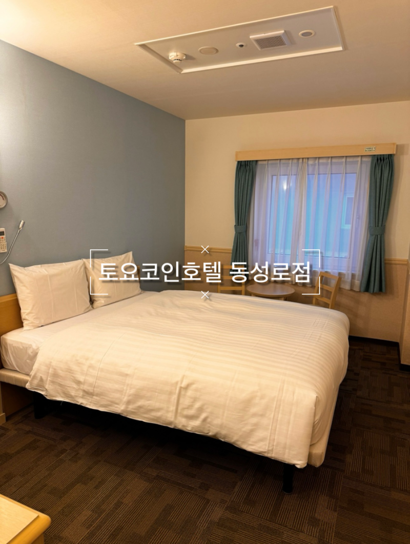 💚 토요코인호텔 동성로점 💚 대구 동성로 호텔 룸컨디션/어메니티/주차 등 : 네이버 블로그