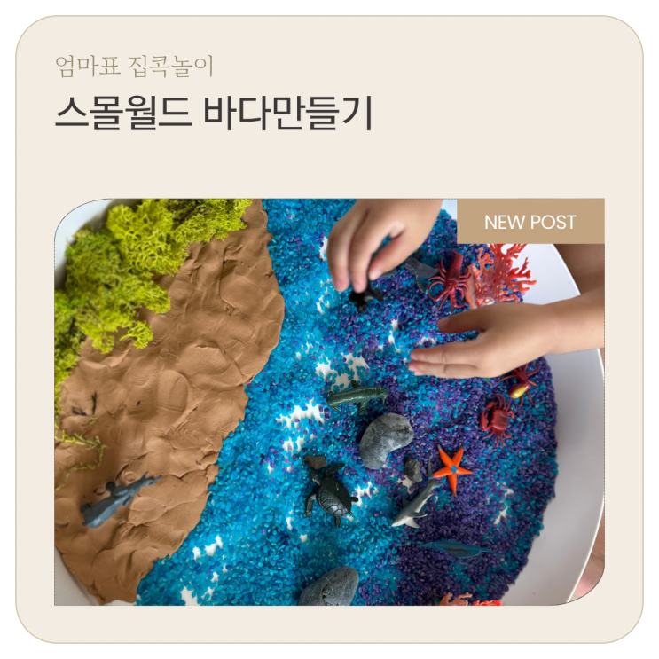 집콕놀이 쌀염색 엄마표 바다만들기