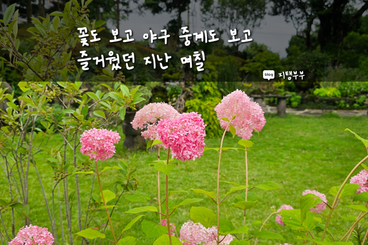  최근 나의 일상 : 일본 오사카 여행 준비 제주돌문화 공연 관람 방림원 방문 돼지고기 샤브샤브 코인노래방 롯데 자이언츠 역대급 경기 보기 일본 패키지 여행 알아보기
