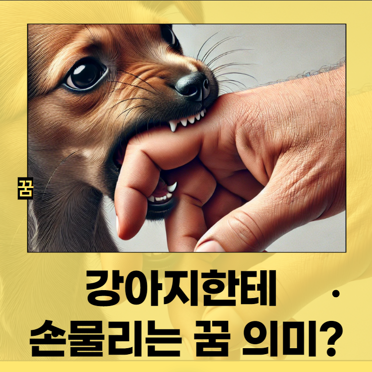 강아지한테 손물리는 꿈을 알아봤어요