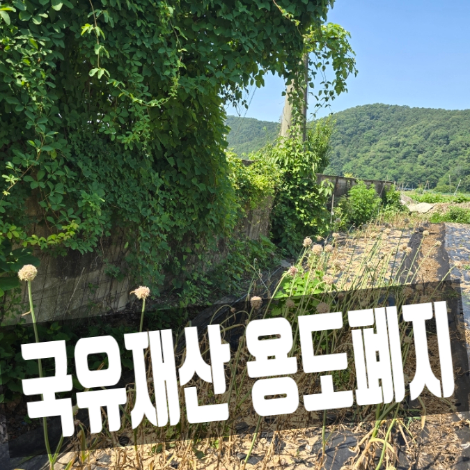  이동(송전) 도시개발사업, 국유재산 용도폐지 및 도로 매수 신청 현장 답사