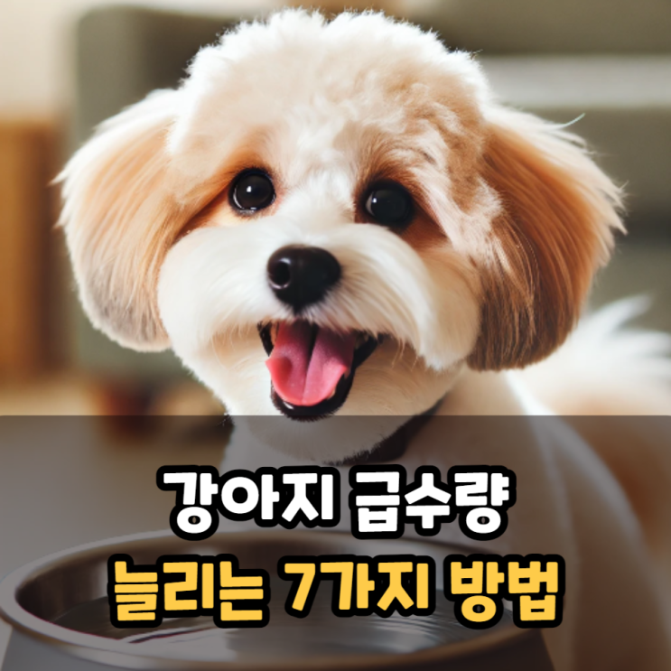  강아지 급수량 늘리는 방법
