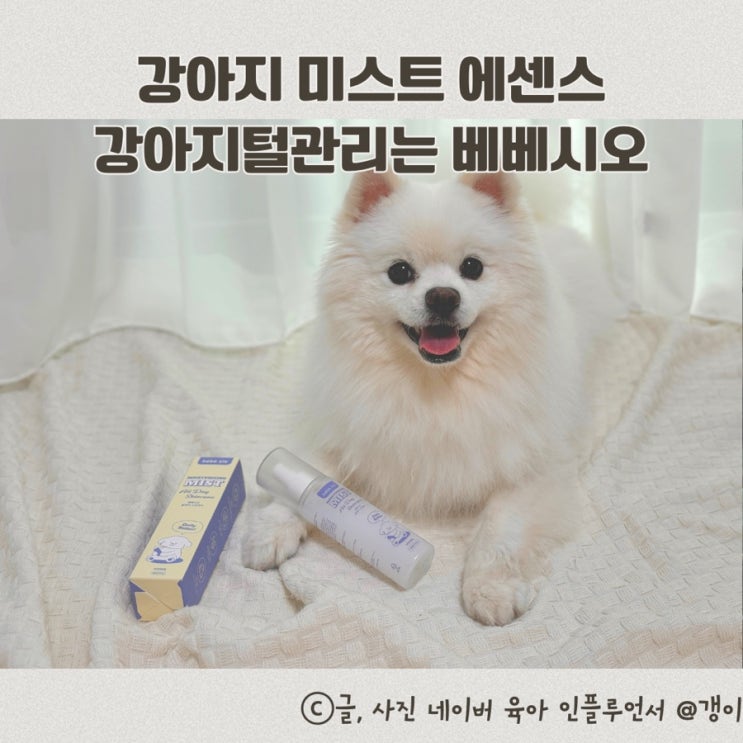  강아지 미스트 에센스 강아지털관리는 베베시오