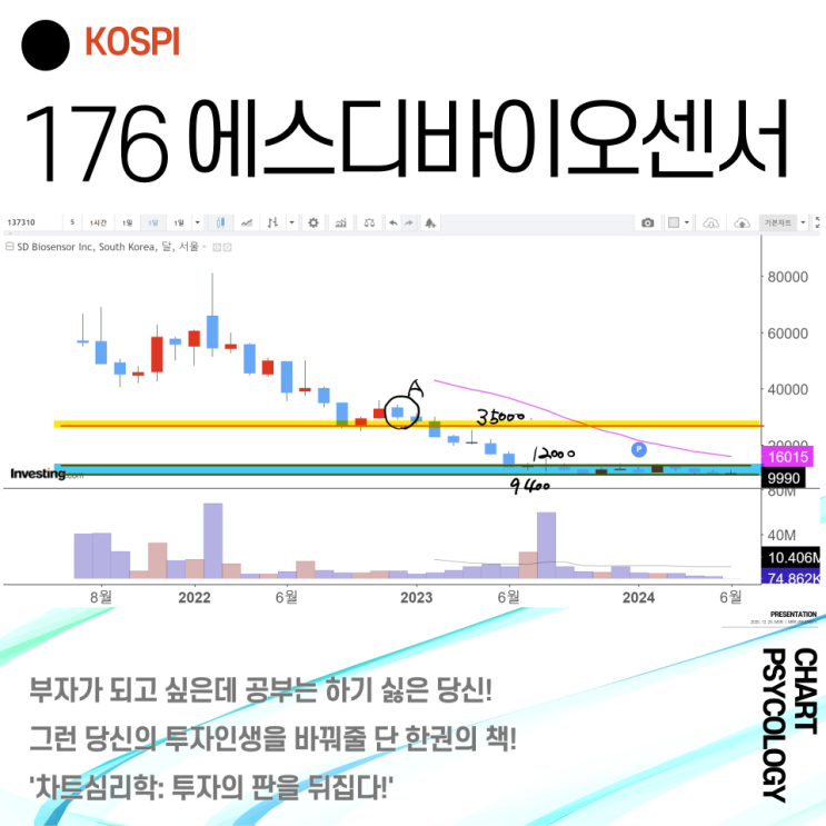  코스피 176위 에스디바이오센서 주가 전망 - 추가하락은 일단 막자! 2024년 3분기