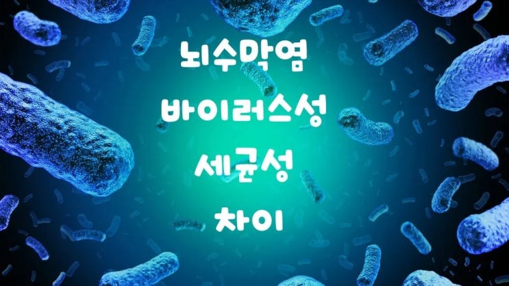  뇌수막염 바이러스성 세균성 차이 위험한 이유 증상 치료