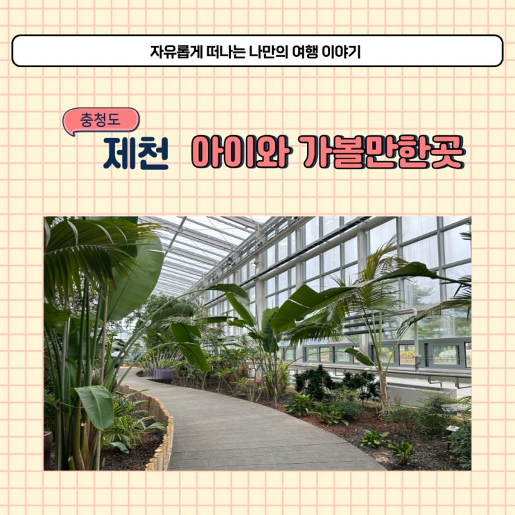 제천 실내 아이와 가볼만한곳 아열대 스마트 온실 식물원