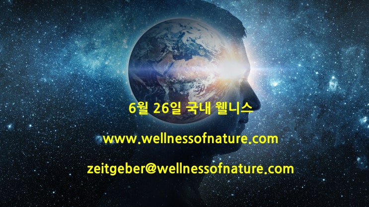  2024년 6월 26일 국내 웰니스 소식