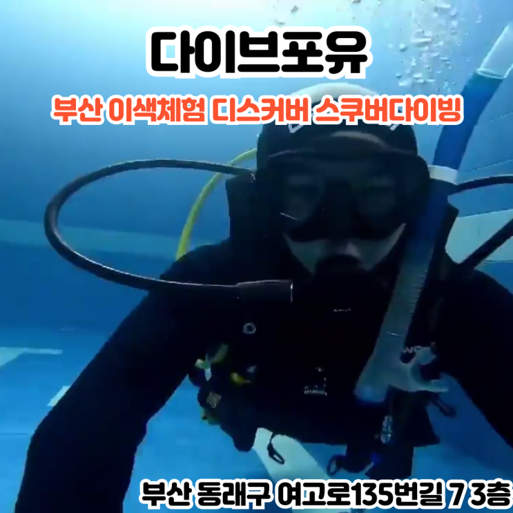  부산INFJ의 일상 - [부산 동래] 다이브포유 : 새로운 모험의 시작, PADI 코스 디렉터 상주센터인 부산창원 스쿠버다이빙 이색체험