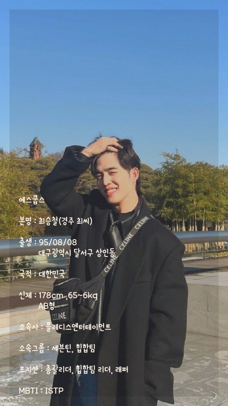 [세븐틴] 에스쿱스