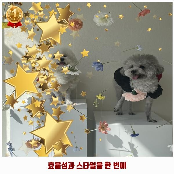 사진 4