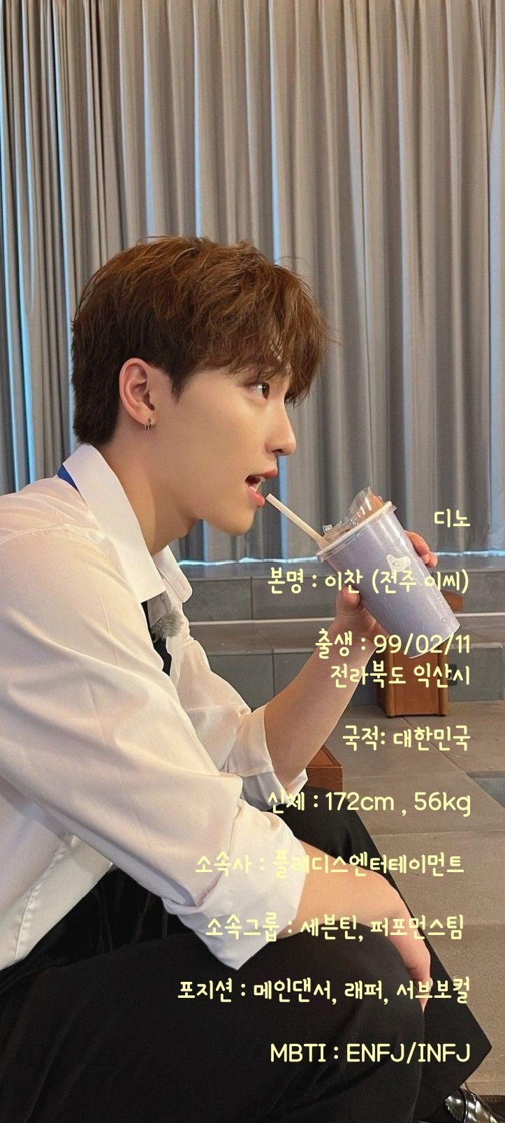 [세븐틴] 디노