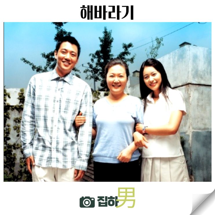 영화리뷰 해바라기 등장인물 결말 명대사 정보 한국 느와르 명작