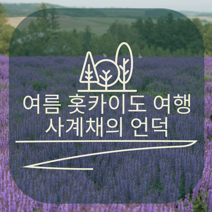  여름 홋카이도의 사계채의 언덕
