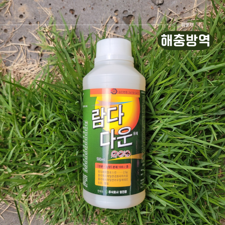  모기살충제 추천 전원주택 벌레퇴치방법 람다다운