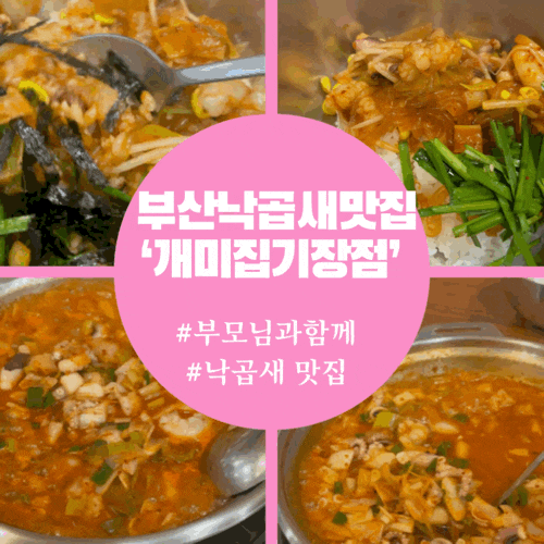  기장 낙곱새 부모님과 함께 가기 좋은 개미집 기장점