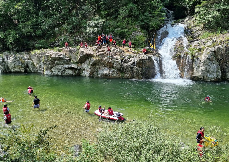 명지계곡 숲속 계류