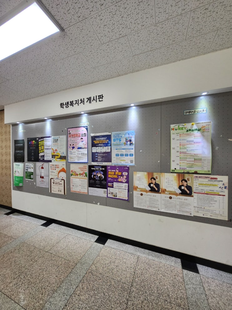  대학교 포스터 광고 진행사례 동서문학상