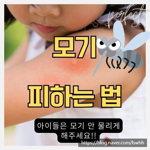  여름철 모기 주의보 발령!! 2024년 인기 TOP 10 모기약 리퀴드 훈증기와 어린이 예방 가이드