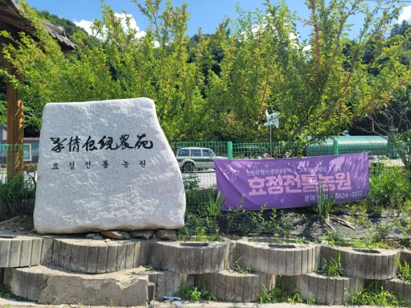 신기농원 이미지