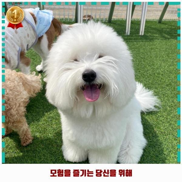 사진 4