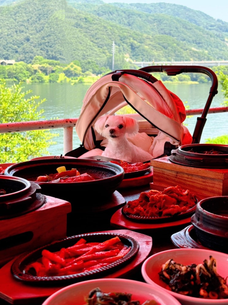  양평 애견동반식당 문호리맛집 고가원