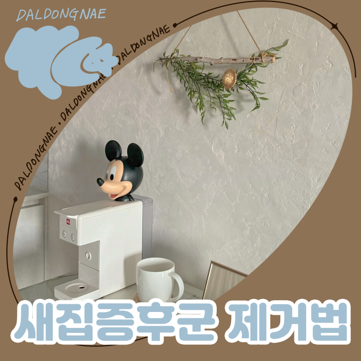  새집증후군 제거 베이크아웃 하는 법