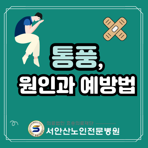  통풍의 원인과 예방법, 안산요양병원에서 알려드려요!통풍식단