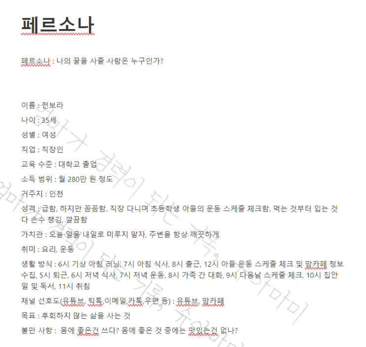  쇼핑몰제작 고객이 누구인가요? 페르소나 설정하기