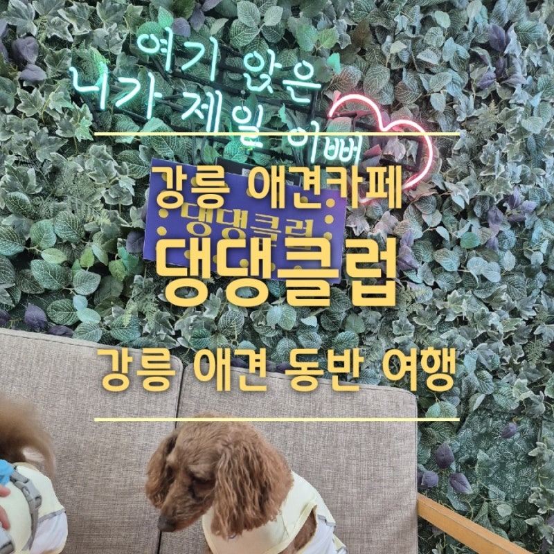 사진 4