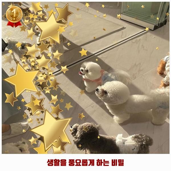 사진 6