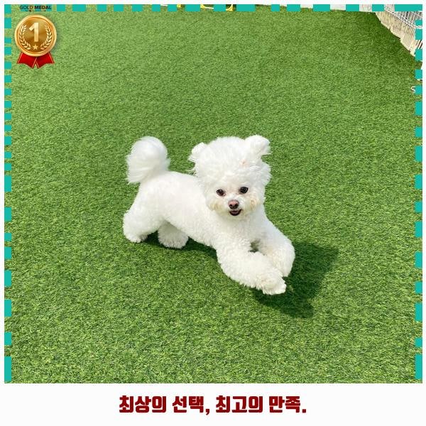 사진 3