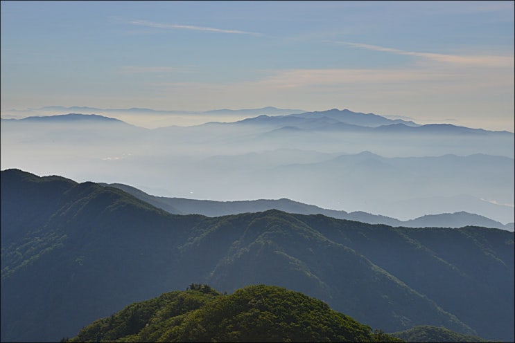  치악산 산행 (부곡탐방지원센터~천사봉~비로봉~원통재~곧은재~부곡폭포~부곡탐방지원센터, 치악산 운해, 치악산 야생화)