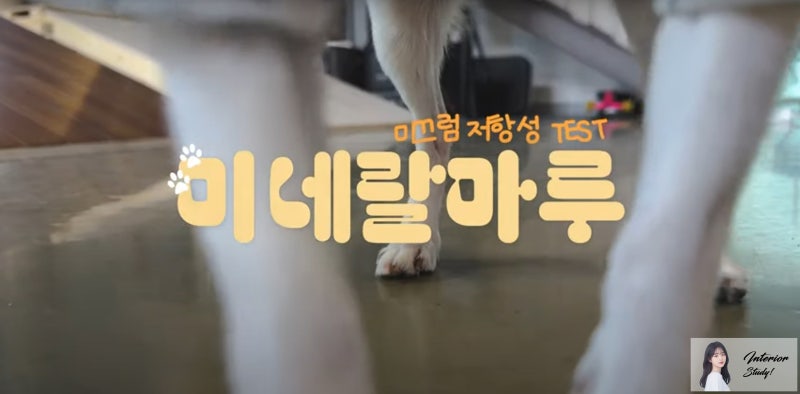 사진 5