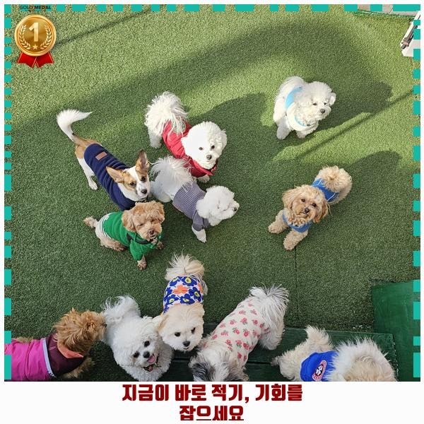 사진 7