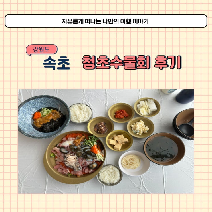 속초 청초수물회 속초본점 내돈내산 솔직한 후기