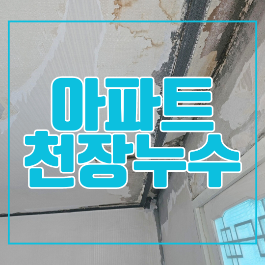 용인 아파트 천장 누수 원인ㅣ처인구 끝까지 찾아서 해결