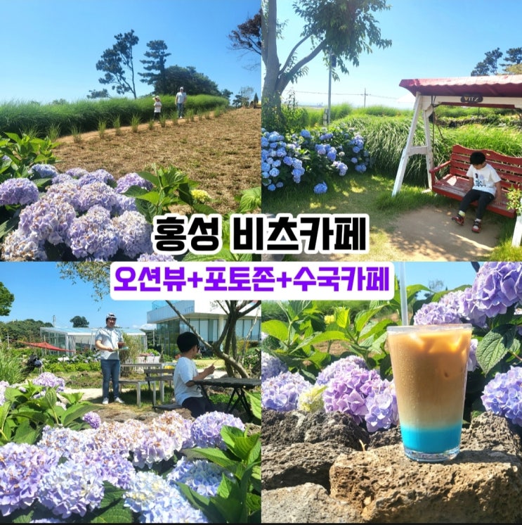 홍성 비츠카페- 남당항 오션뷰 수국 카페