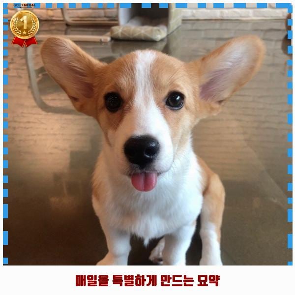 사진 8