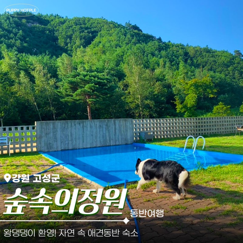 숲속의정원