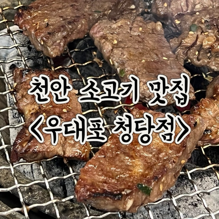  천안 소고기 신상 맛집 우대포 청당동 후기