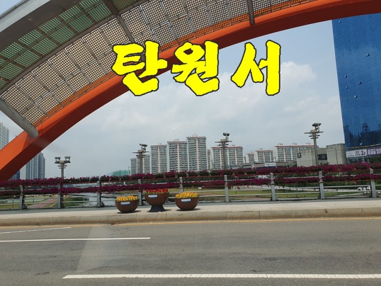  탄원서 불이익 및 제대로 작성되지 않았을 때의 문제점
